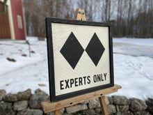 Load image into Gallery viewer, Experts Only Ski Sign